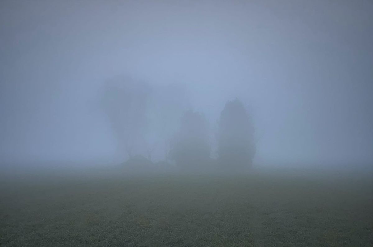 Pratt MFA Photographers Turn Landscapes into Critiques of Power