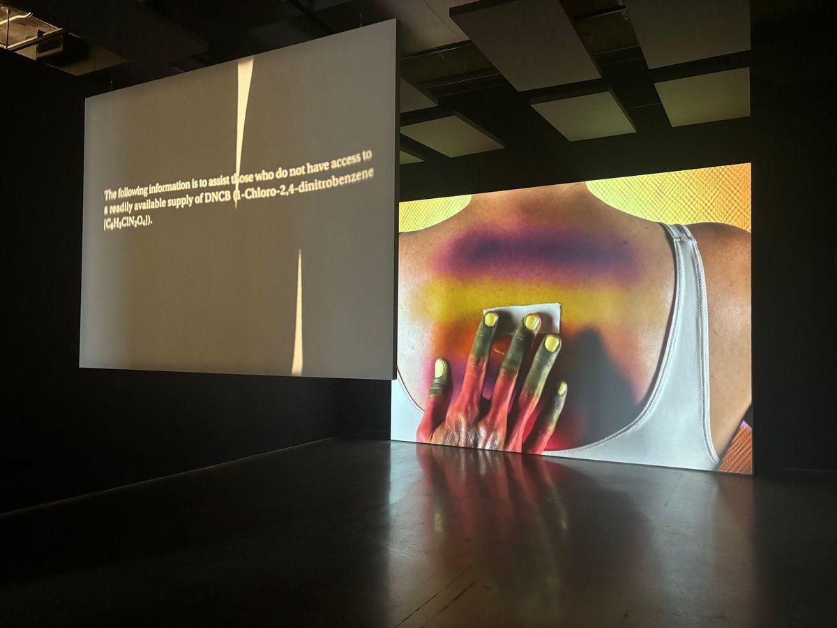 Is Toronto’s Art Triennial Just for Those “In the Know”?