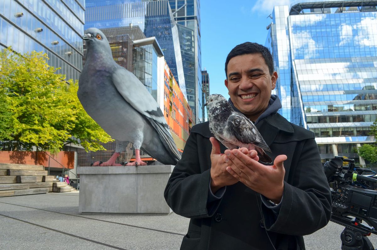 A Giant Pigeon Is Now Perched on New York’s High Line