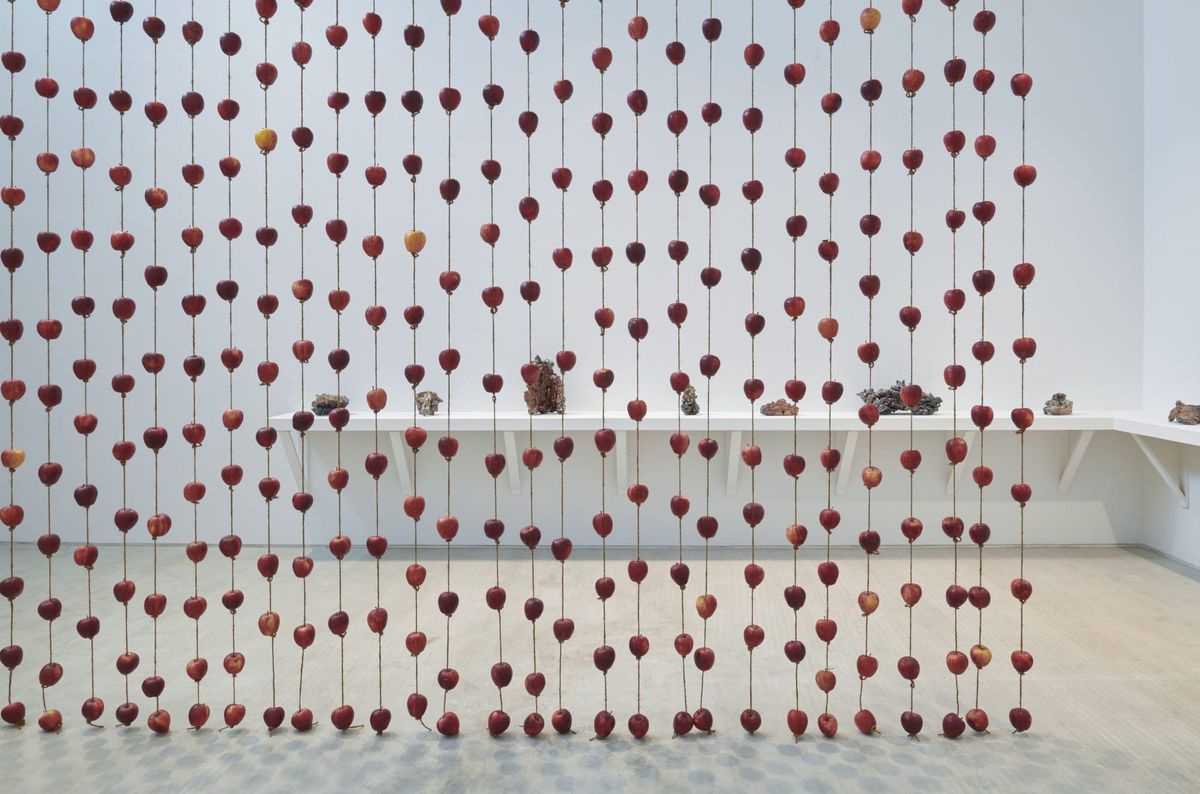 Anya Gallaccio’s Organic Mementos Mori