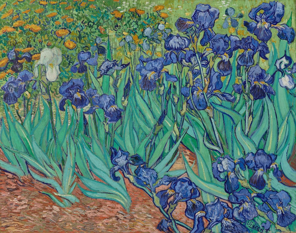 Van Gogh's “Irises” Were Never Supposed to Be Blue