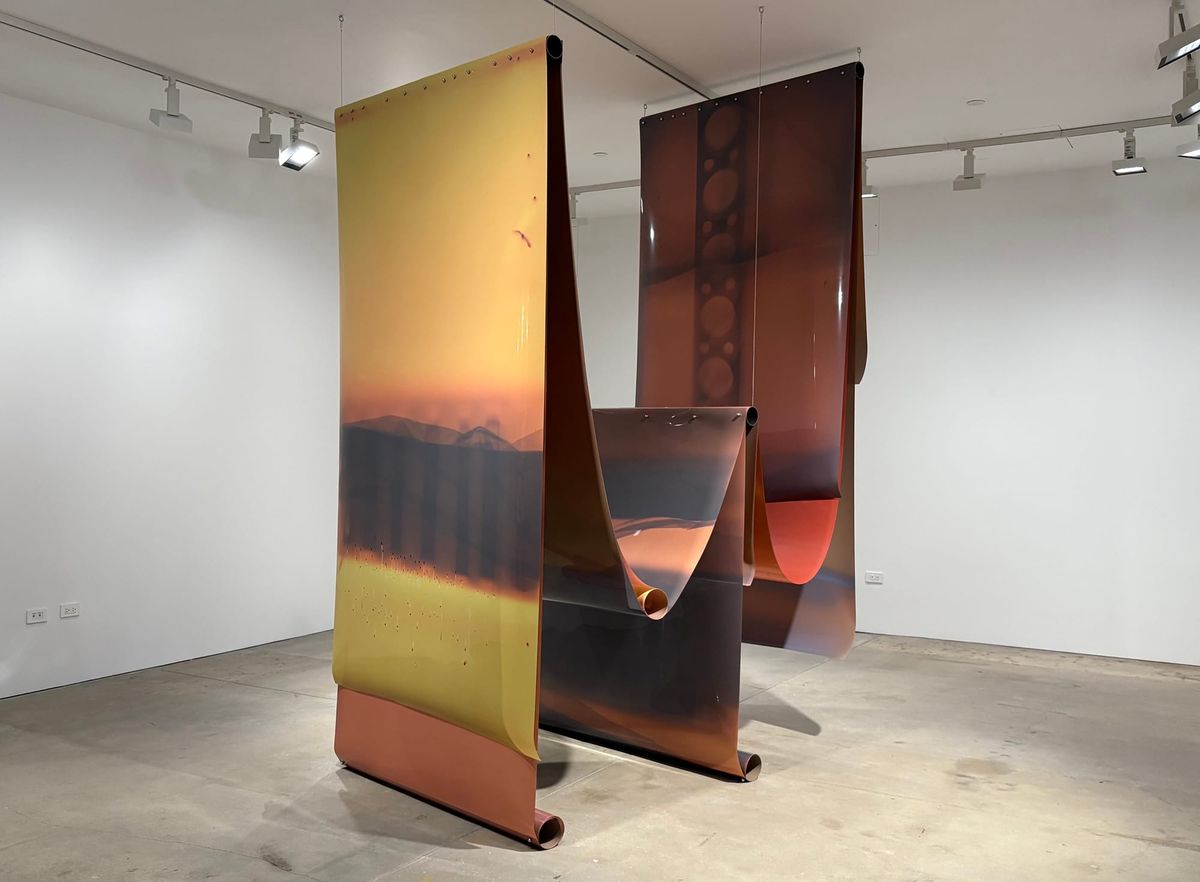 Lotus L. Kang’s Hopeful Doom Scrolling