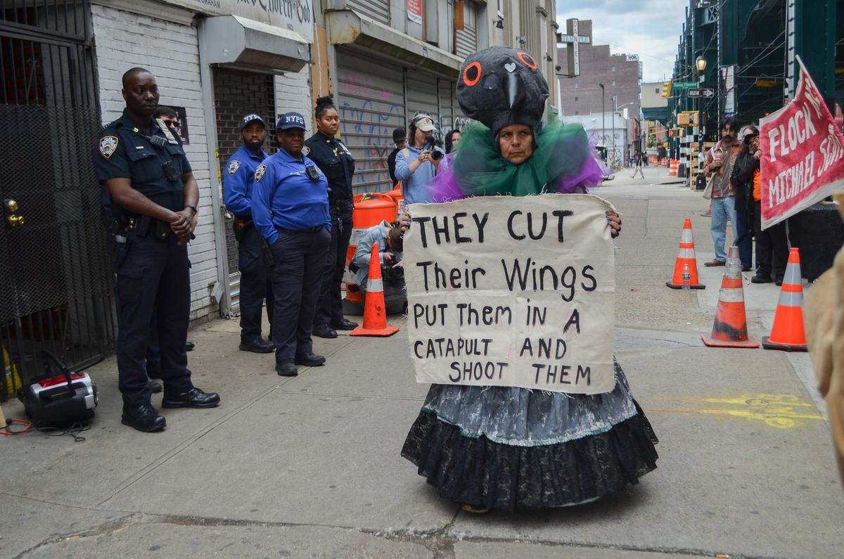“Mother Pigeon,” the Artist Fighting to Save NYC’s Urban Birds
