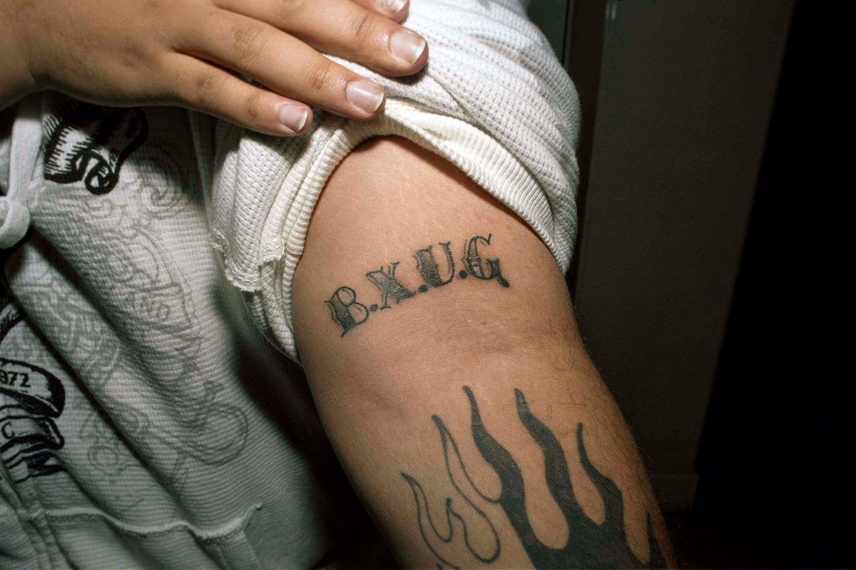 Four New York City Art Shows to See Right Now