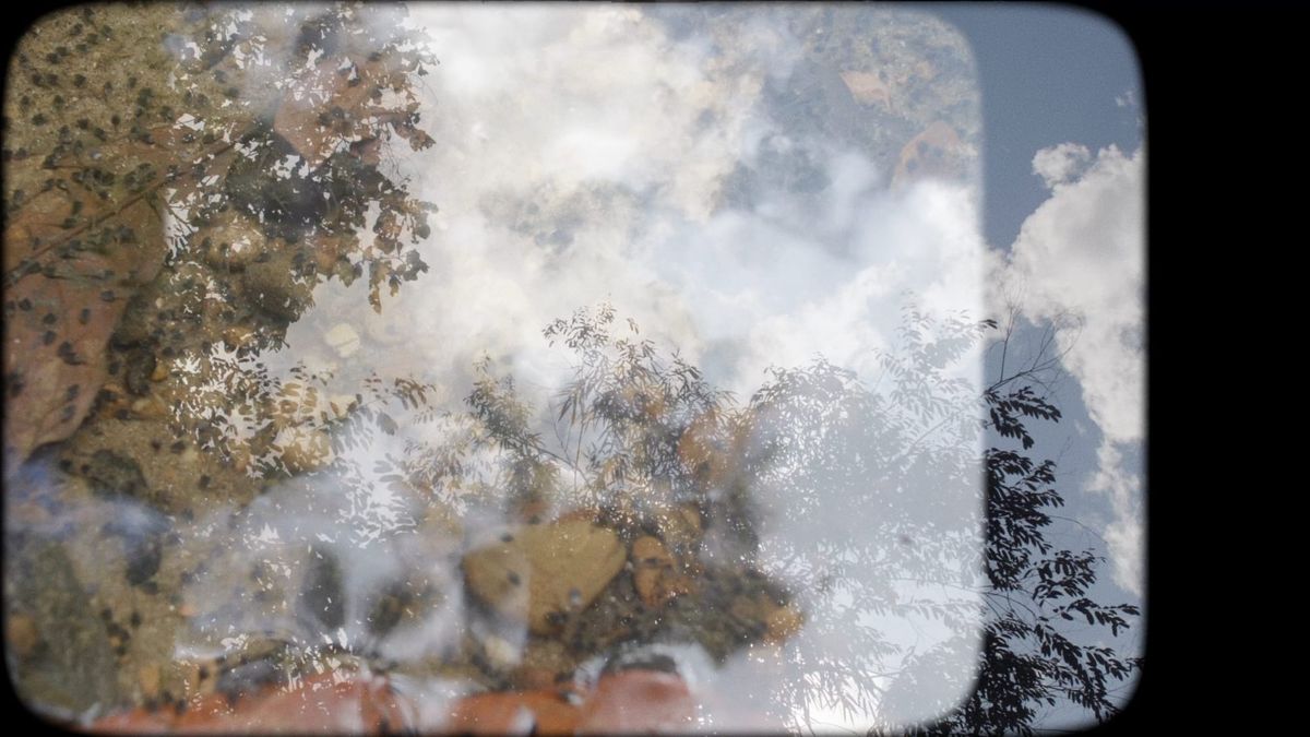 Hyperallergic Fall 2025 New York Art Guide