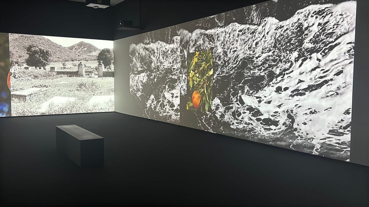 Caribbean Artists Take on the Myth of Tropical Escapism