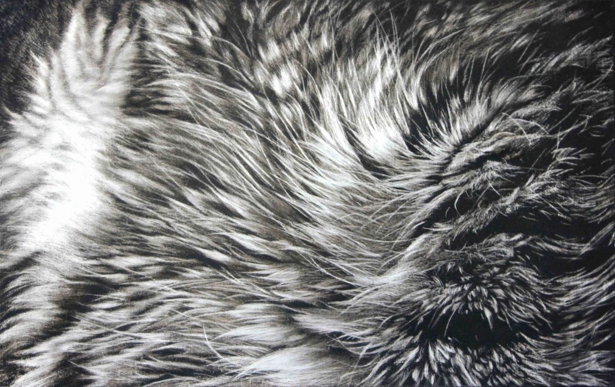 A Sprrrawling Exhibition of Cat-Themed Meowsterpieces