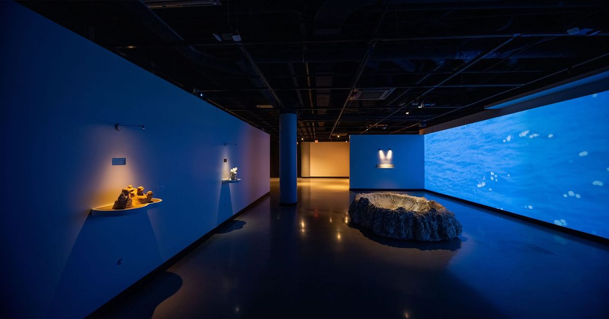 University of Michigan’s Stamps School of Art & Design Offers a Unique MFA Experience