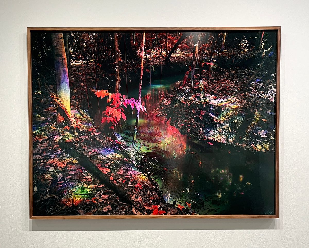 Exploring New Paths in Landscape-Based Art