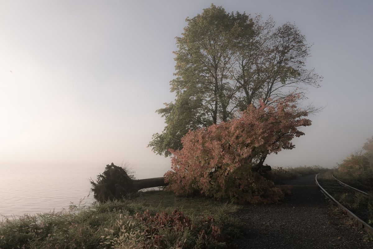 10 Exhibitions to See in Upstate New York This November