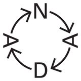 New Art Dealers Alliance (NADA)