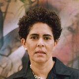 Julie Mehretu