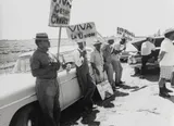 I'm a Chicana Curator. This Is Why I Removed Cesar Chavez From My Show