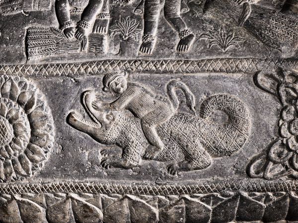 Pet Monkeys Were Popular in Ancient Rome, Burials Reveal