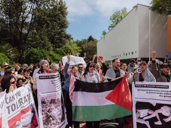 The Case for Palestine at the Venice Biennale