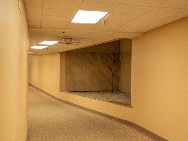 How Liminalism Became the Defining Aesthetic of Our Time