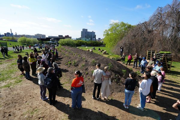Jean Shin’s Living Memorial to the Trees of Green-Wood Cemetery