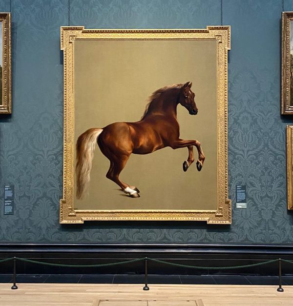 Tale of a Riderless Horse