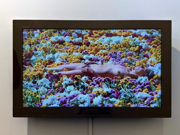 The Paradoxical Delights of South America’s Biggest Art Fair