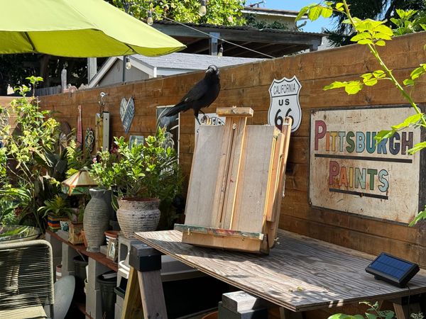 A View From the Easel
