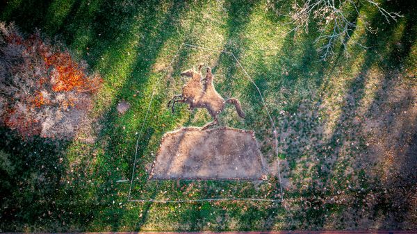 Four Native Artists Commissioned for Counterpublic Triennial