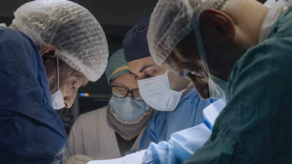 “American Doctor” Is an Indictment of US Leadership and Media