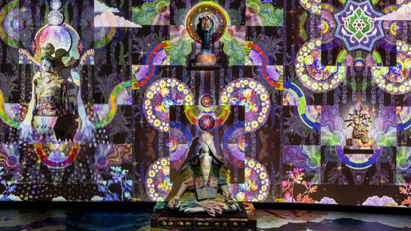 Shimmer: Dreaming the Posthuman