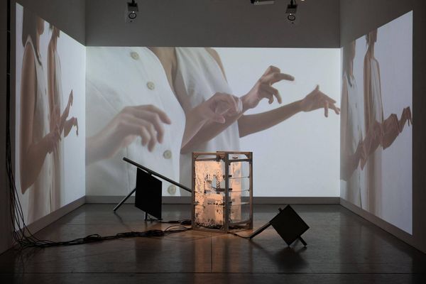 UCLA’s MFA in Media Arts Now Accepting Applications