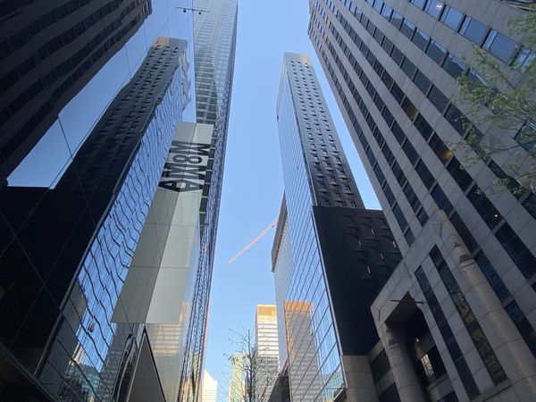 An Epstein Survivor’s Message for MoMA