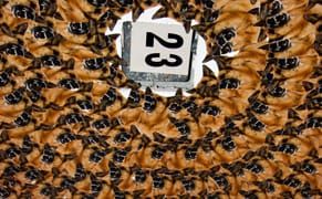 MoMA Reframes the Moderns, Anaylzing Jung's "Red Book," Famous Accountants Opens...