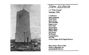 DIWhy? A Review of New Asshole, Issue 1.2