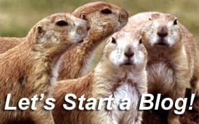 New Museum’s Richard Flood Equates Bloggers with Prairie Dogs