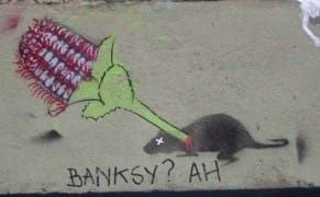 From the Comments: A Banksy Rat & Banksia Coccinea