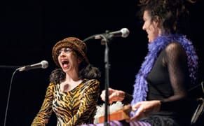 Wonder Cabinet: The Artist in Academia