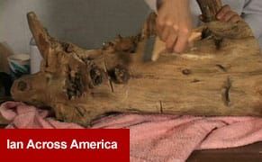 Art + Sand = Taxidermy