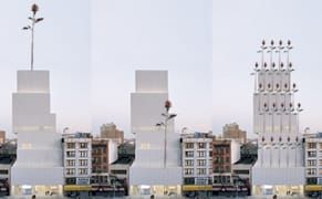 What the New Museum Should Do With Its New Rose