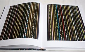 Reading Ian Berry's Fred Tomaselli