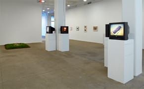 How Do You Show Performance Art? Ana Mendieta vs Marina Abramović