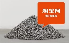 Sunflower Seeds at Sotheby's: $120,000, Chinese Fakes: $.25