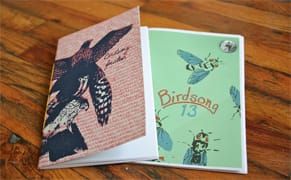 Birdsong's Zine Scene