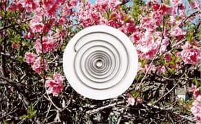 Thank You to Our February Sponsors!