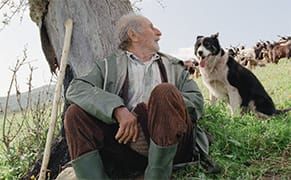 Quattro Volte: A Film That Slows Down Time