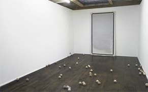 Thank You to Our May Sponsors!