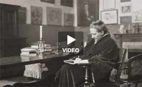 An Idiot's Guide to the Steins