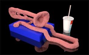 Thank You to Our April Sponsors!