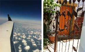 Curator Diary: Jason Andrew & Tworkov at Black Mountain College