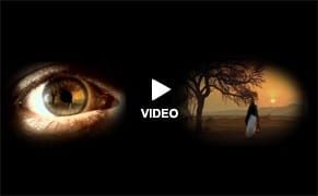 Shirin Neshat Sets Fire to Stuff