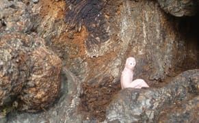 Mail Art Bulletin: Mail That Travels