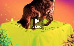 Videos by Dave Greber: Life, The Universe and Everything