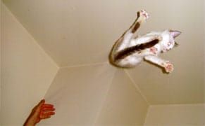 WTF Is Google+? An Artist's Handbook